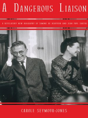 cover image of A Dangerous Liaison